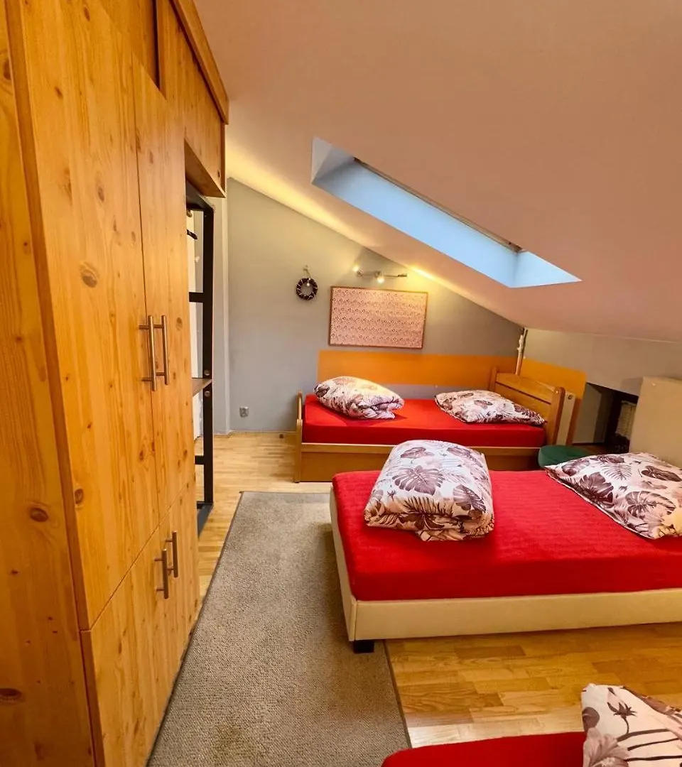 Vector Home Warschau